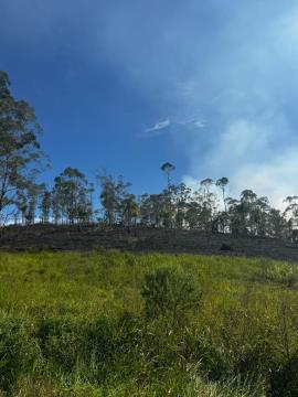 WhatsApp Image 2026-04-16 at 16.51.27