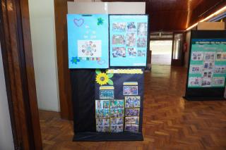 IMG-20251015-WA0172
