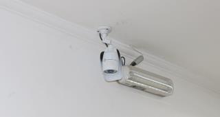 1-IMG_1537