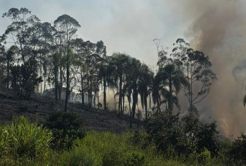 WhatsApp Image 2026-04-16 at 16.51.28