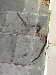 IMG-20241007-WA0019
