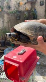 WhatsApp Image 2026-03-18 at 07.51.47