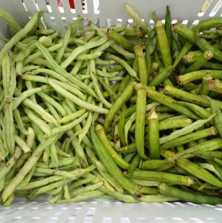 324433564_704807267965724_5310571065815136787_n