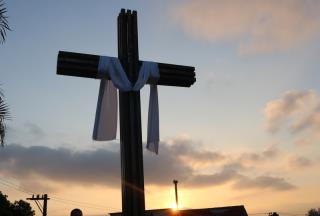 1-IMG_8542