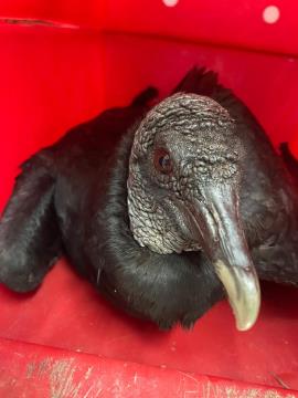 WhatsApp Image 2026-03-18 at 07.51.48 (1)