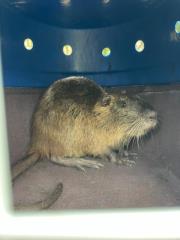IMG-20241007-WA0022