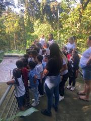 visita (2)
