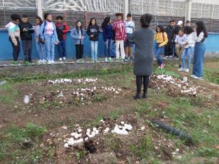educação ambiental (9)