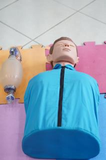 WhatsApp Image 2026-04-22 at 08.36.40