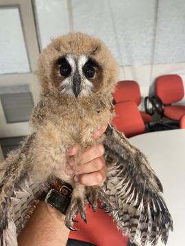 WhatsApp Image 2026-03-18 at 07.51.48 (2)